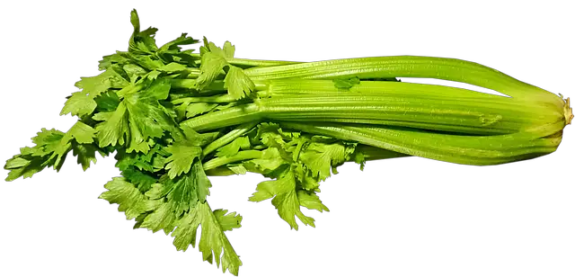picture of Celery