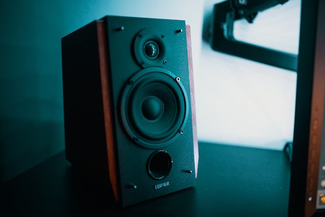 picture of a speaker 
