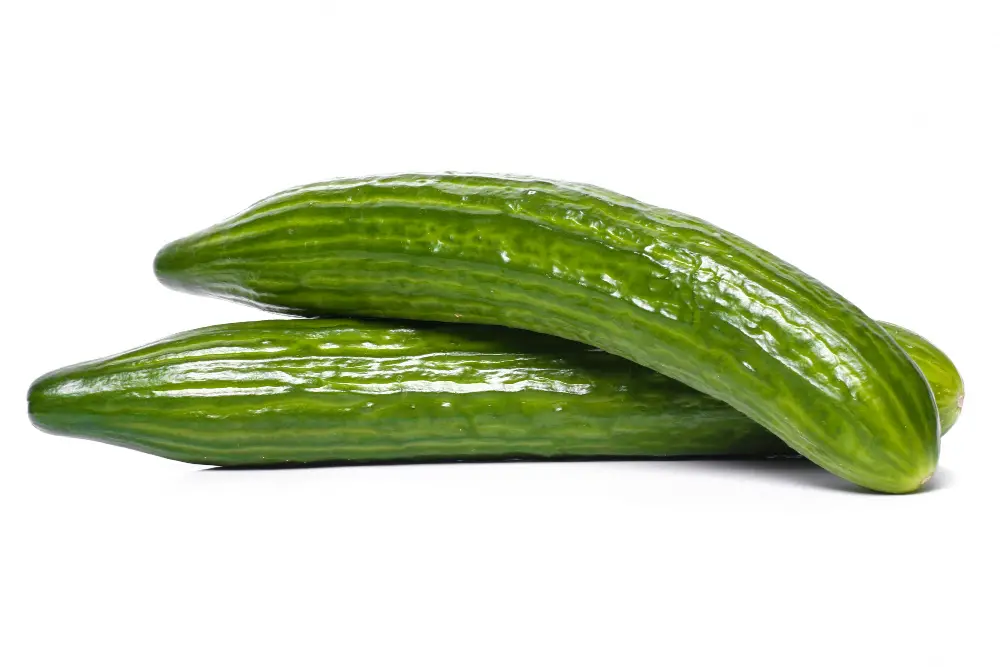 picture of cucumber