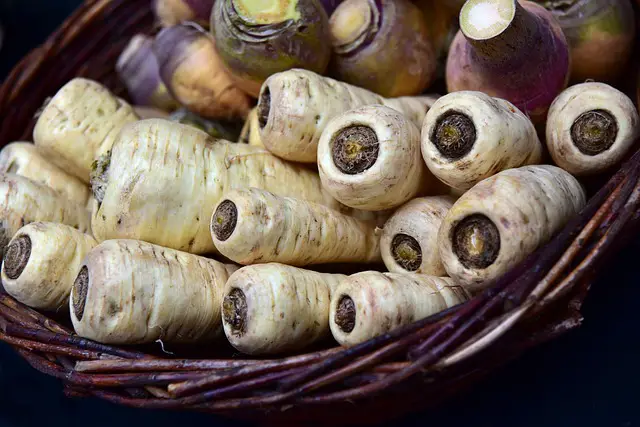 picture of parsnips 