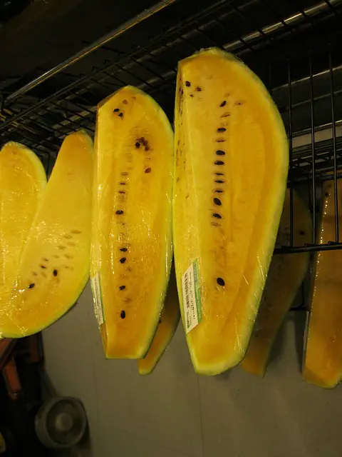 picture of yellow watermelon