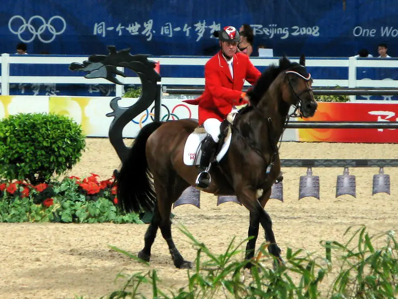 picture of a competitor engaged in equestrian riding 