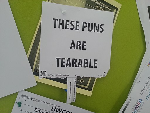 picture of an example of a pun