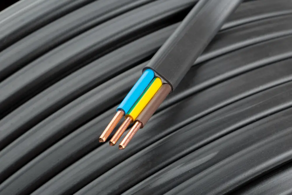 picture of unsheathed cables 