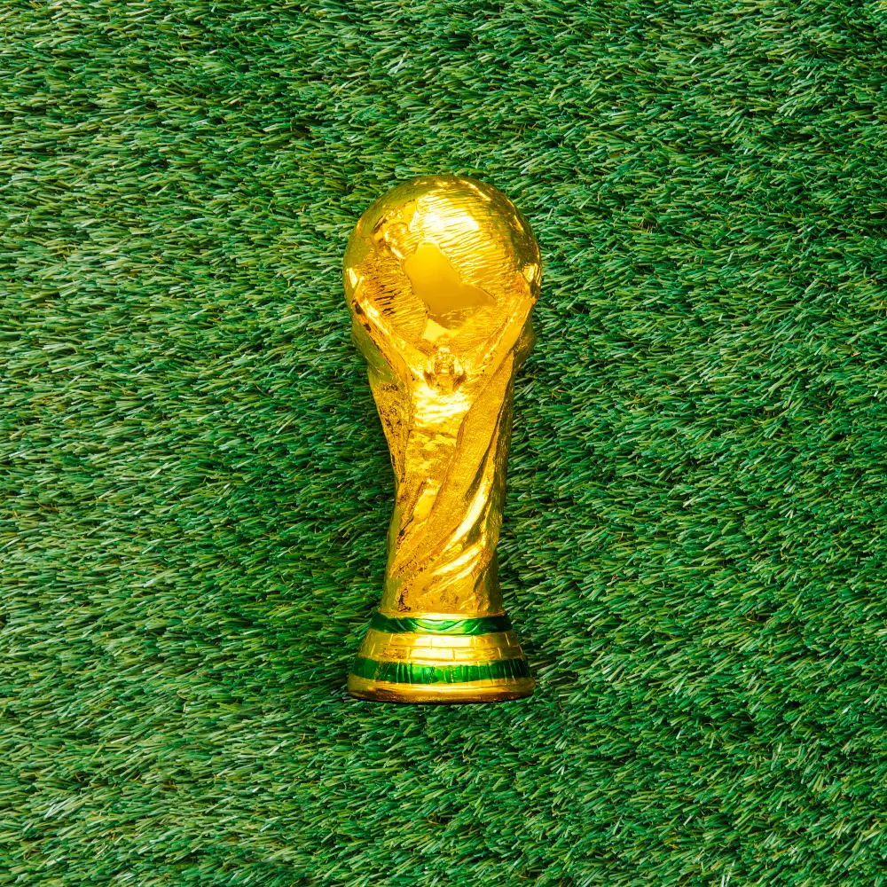 picture of the FIFA world cup trophy 