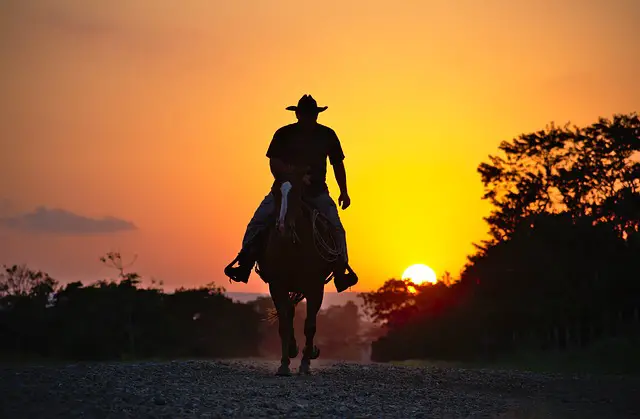 picture of a person engaged in horse riding 