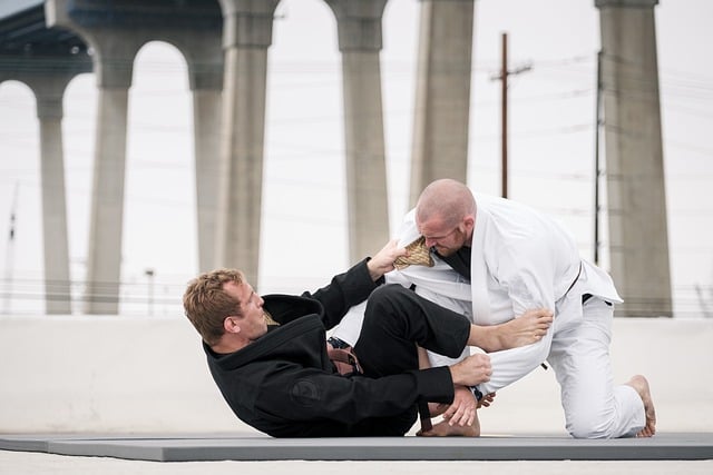picture of two competitors engaged in jui jitsu 