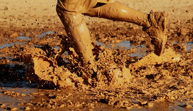 picture of mud