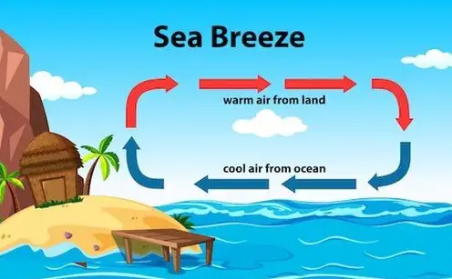picture of how a sea breeze occurs 