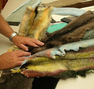 picture of mink pelts