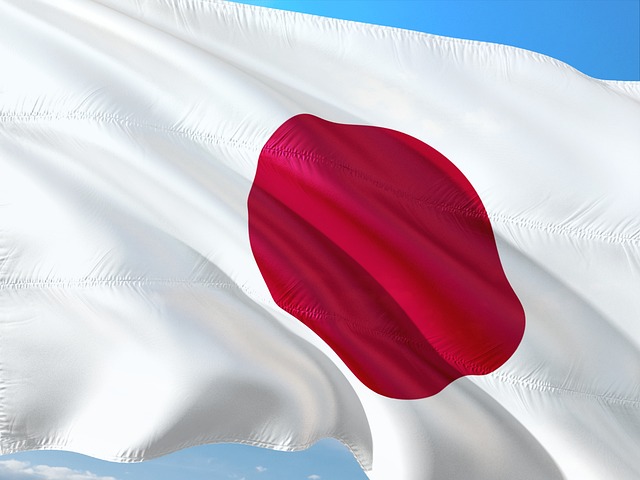 picture of the Japanese flag