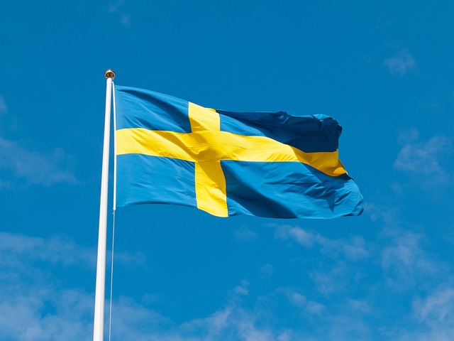 picture of the Swedish flag