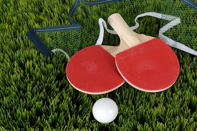 picture of table tennis equipment