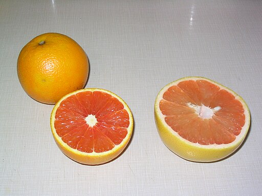 picture of cara cara oranges 