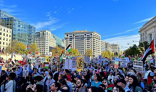 picture of the "Free Palestine" march in Washington DC