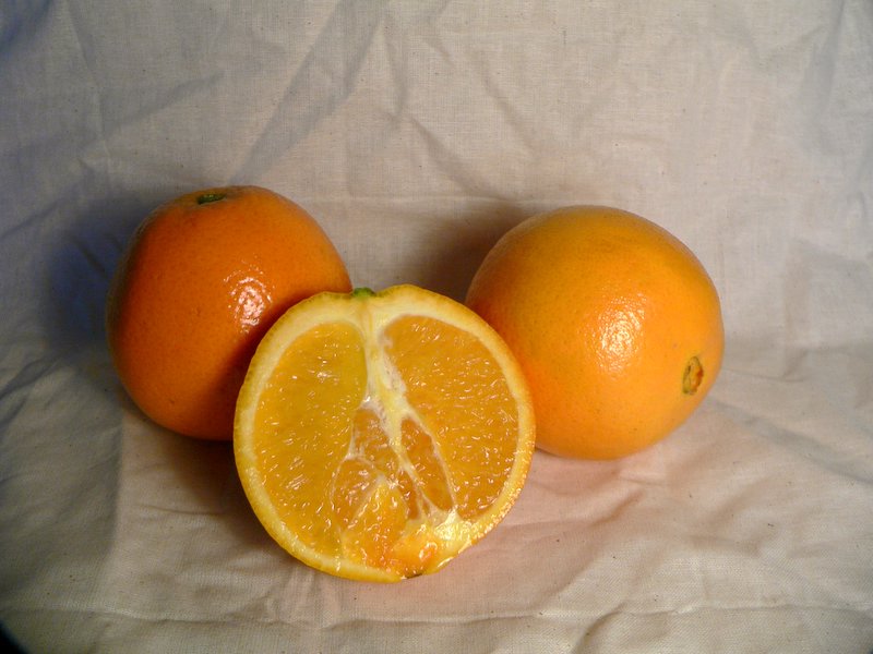 picture of navel oranges
