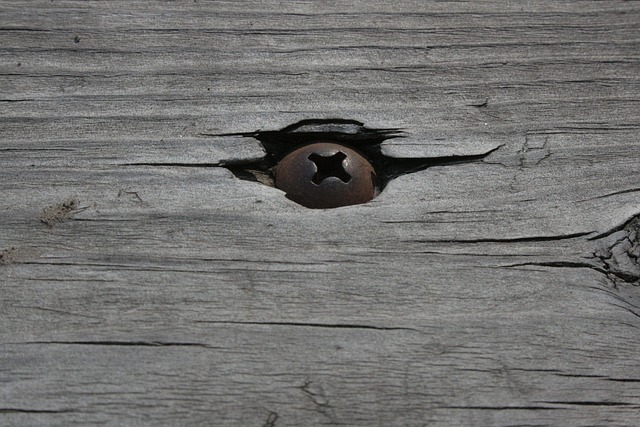picture of a screw on wood