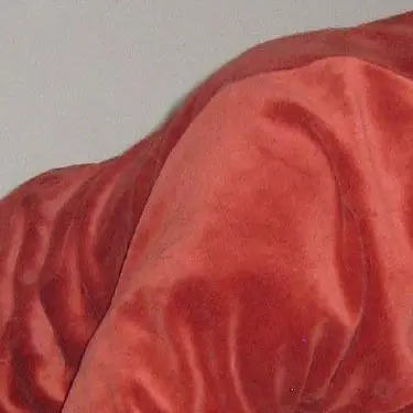 picture of velour fabric 