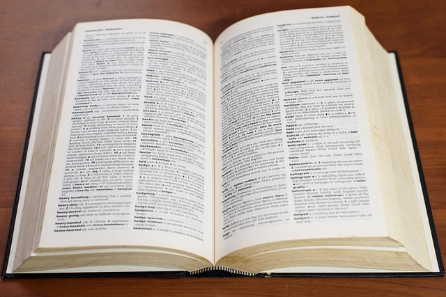picture of an open dictionary 