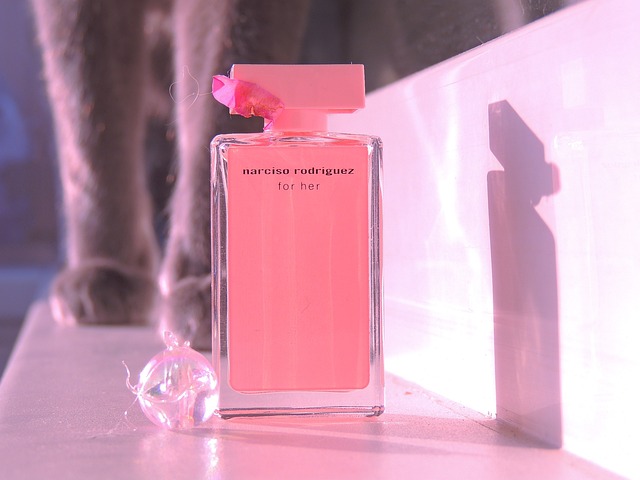 picture of a perfume bottle 