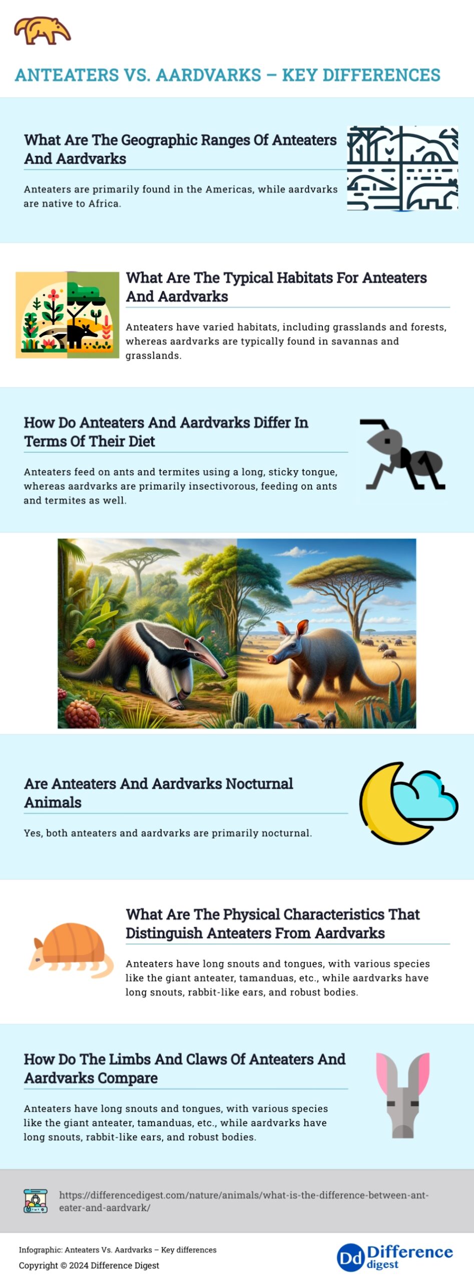 Infographic: Anteaters Vs. Aardvarks – Key differences  