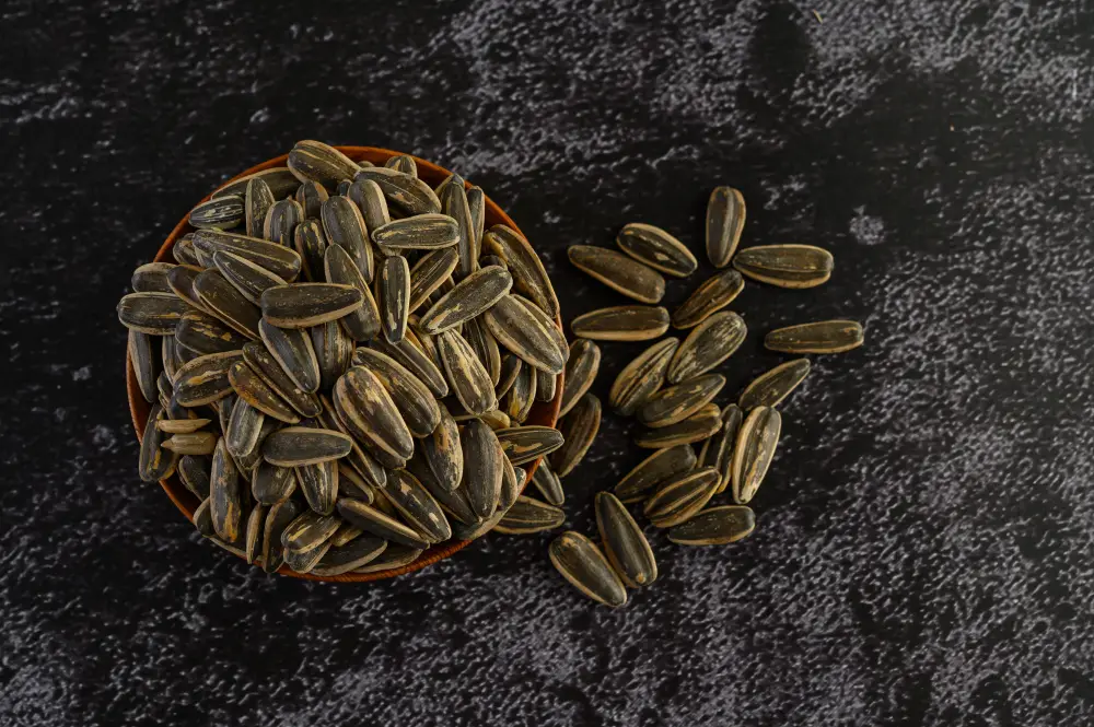  A picture of a Dill Seed