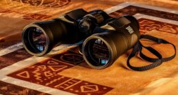 Bushnell Equinox Z vs Z2